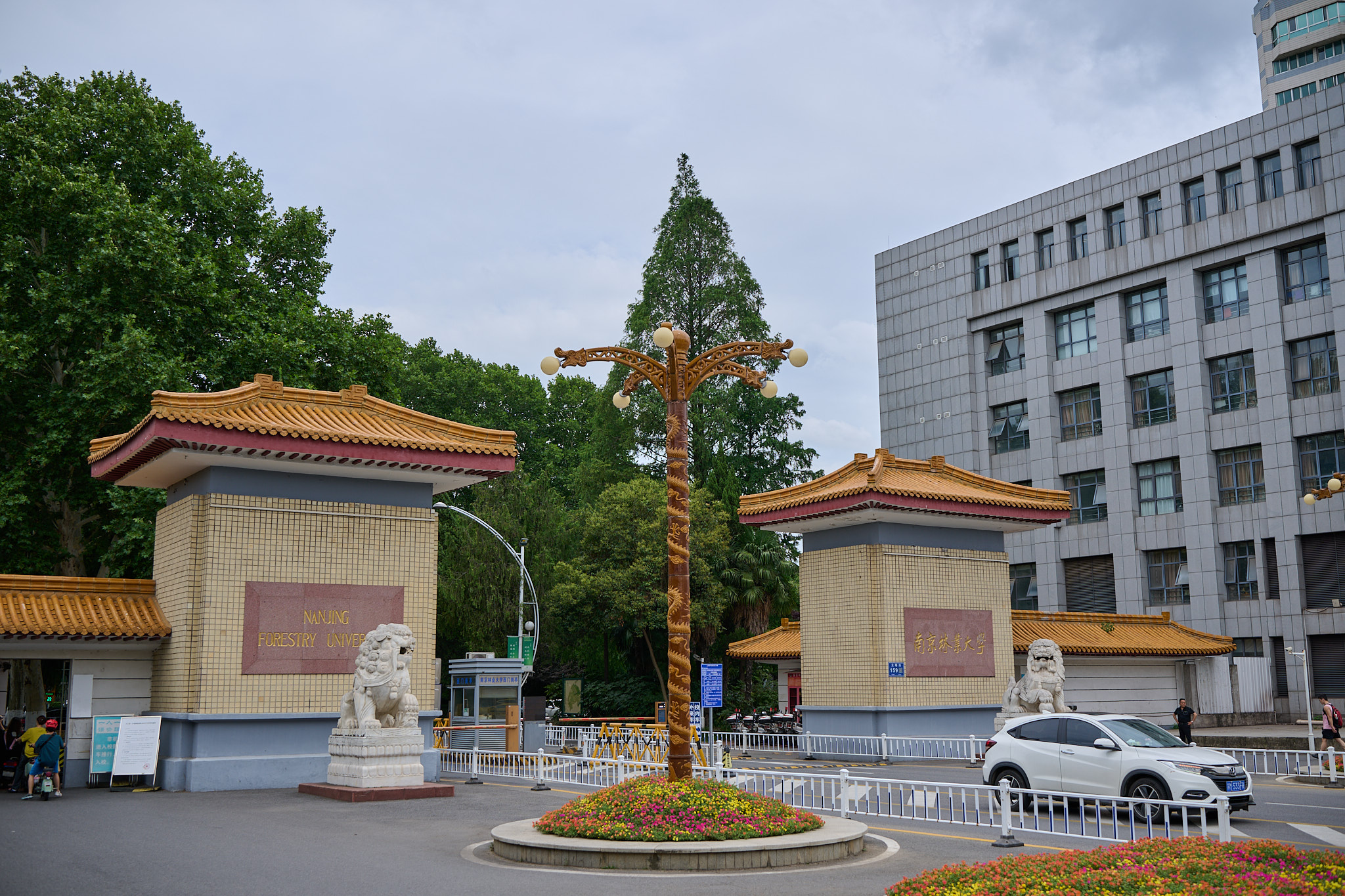 大门